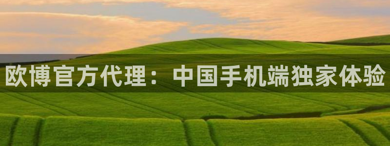 新宝5app最新版怎么下载苹果：欧博官方代理：中国手机端独家体验