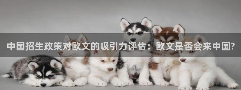 壹号平台娱乐：中国招生政策对欧文的吸引力评估：欧文是否会来中国?