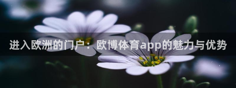 壹号平台娱乐：进入欧洲的门户：欧博体育app的魅力与优势