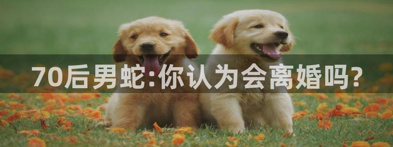 壹号top娱乐：70后男蛇:你认为会离婚吗?