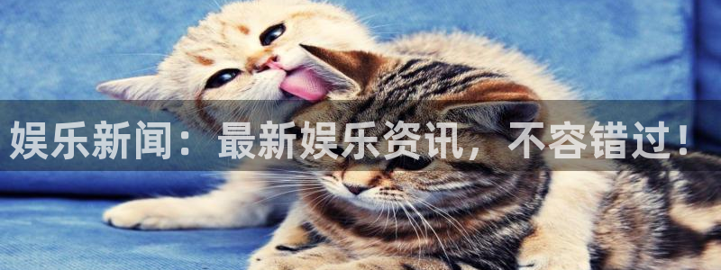 新宝5平台app下载：娱乐新闻：最新娱乐资讯，不容错过！