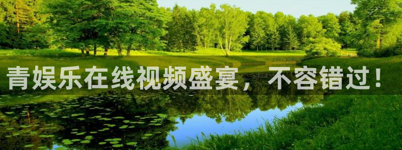 新宝5能退款吗：青娱乐在线视频盛宴，不容错过！
