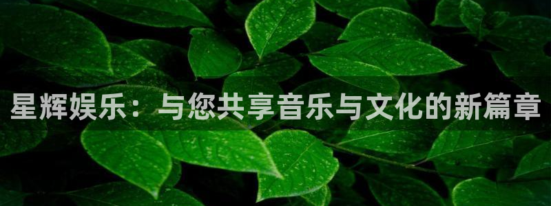 壹号app官网版下载：星辉娱乐：与您共享音乐与文化的新篇章
