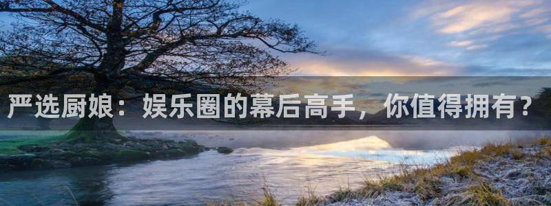 新宝5强制退款流程详解：严选厨娘：娱乐圈的幕后高手，你值得拥有？