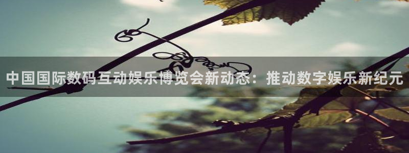 壹号大舞台下载链接：中国国际数码互动娱乐博览会新动态：推动数字娱乐新纪元