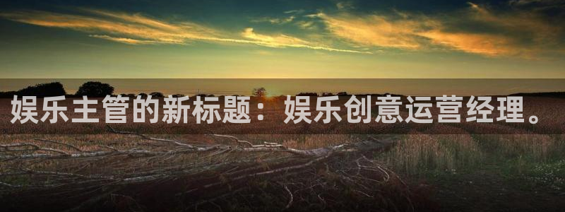 新宝5app官网：娱乐主管的新标题：娱乐创意运营经理。