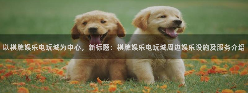 壹号电子娱乐app下载官网：以棋牌娱乐电玩城为中心，新标题：棋牌娱乐电玩城周边娱乐设施及服务介绍
