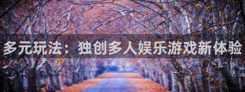 新宝5app入口：多元玩法：独创多人娱乐游戏新体验