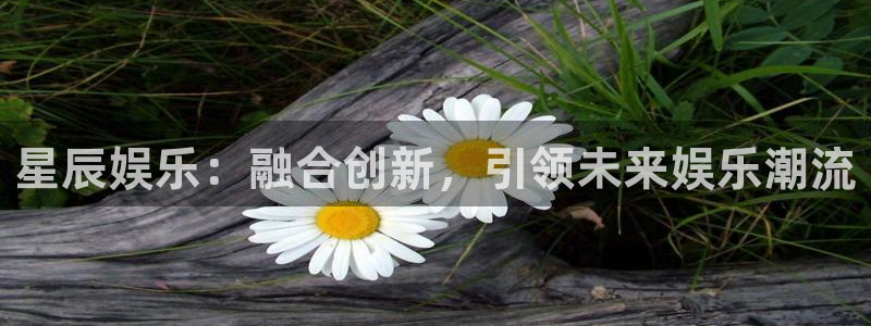 壹号电子娱乐app下载安装：星辰娱乐：融合创新，引领未来娱乐潮流