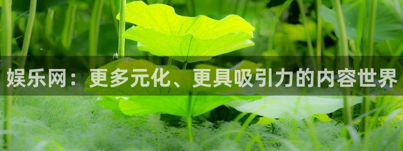 新宝5app下载安装：娱乐网：更多元化、更具吸引力的内容世界