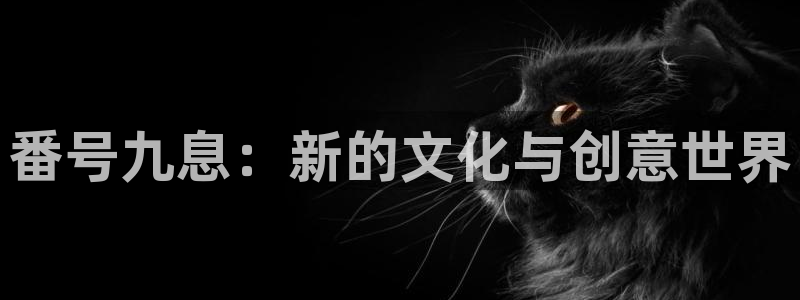 新宝5,apk.1：番号九息：新的文化与创意世界