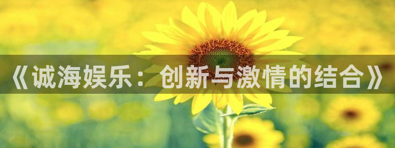壹号app下载苹果：《诚海娱乐：创新与激情的结合》